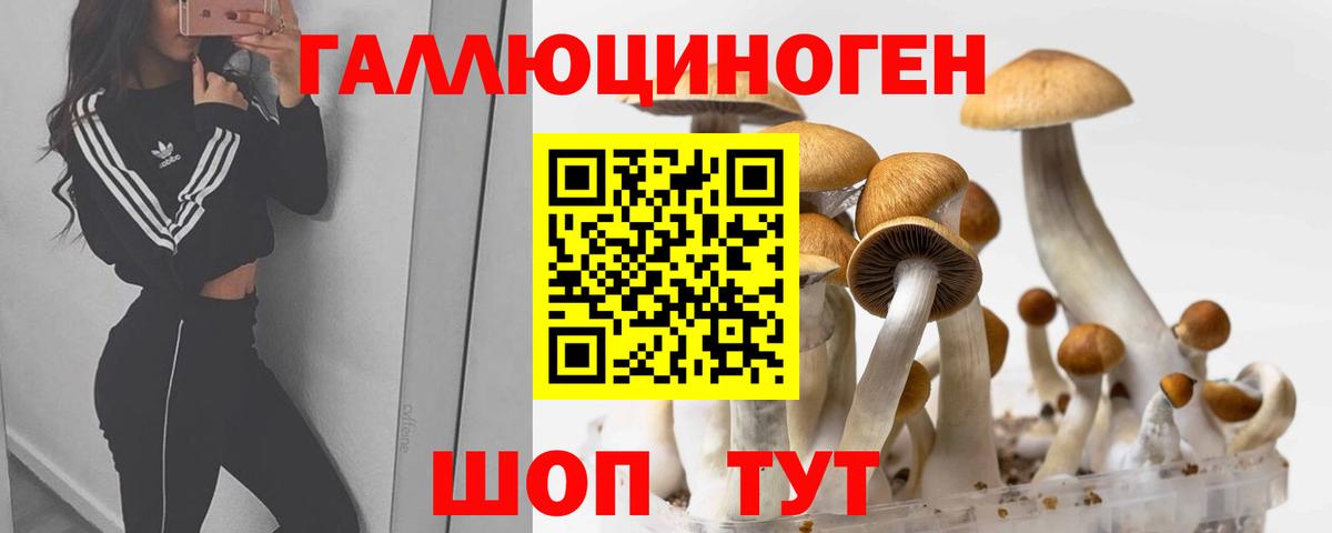 Псилоцибиновые грибы ЛСД  Вход с VPN  хочу   Урай  Галлюциногенные грибы прущие грибы 